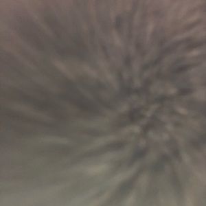 Meet your Posher, Danoucha